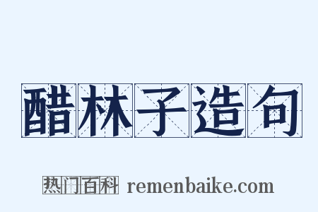 醋林子造句是什么意思的图片